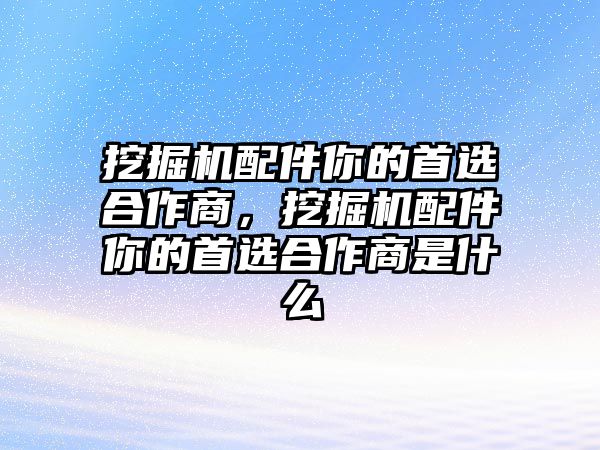 挖掘機(jī)配件你的首選合作商，挖掘機(jī)配件你的首選合作商是什么