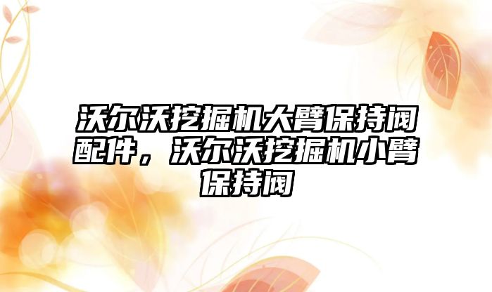 沃爾沃挖掘機大臂保持閥配件，沃爾沃挖掘機小臂保持閥