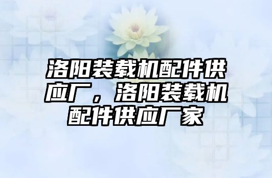 洛陽裝載機配件供應廠，洛陽裝載機配件供應廠家