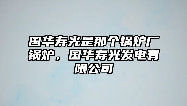 國華壽光是那個鍋爐廠鍋爐，國華壽光發電有限公司