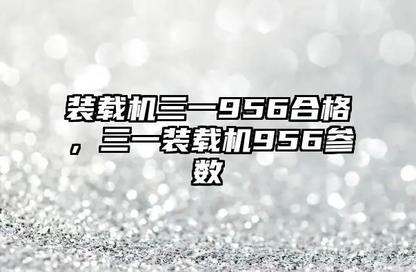 裝載機三一956合格佂，三一裝載機956參數