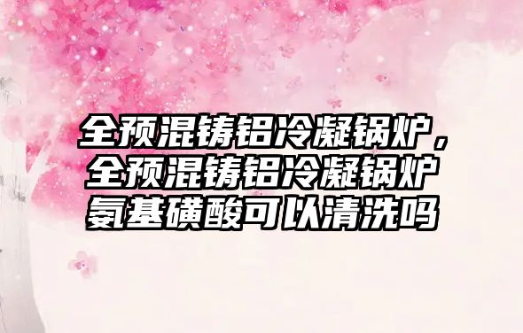 全預混鑄鋁冷凝鍋爐，全預混鑄鋁冷凝鍋爐氨基磺酸可以清洗嗎