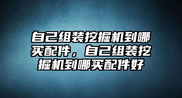 自己組裝挖掘機到哪買配件，自己組裝挖掘機到哪買配件好