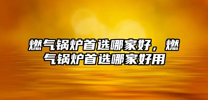 燃氣鍋爐首選哪家好，燃氣鍋爐首選哪家好用