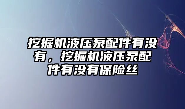 挖掘機液壓泵配件有沒有，挖掘機液壓泵配件有沒有保險絲