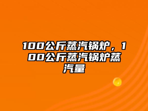 100公斤蒸汽鍋爐，100公斤蒸汽鍋爐蒸汽量