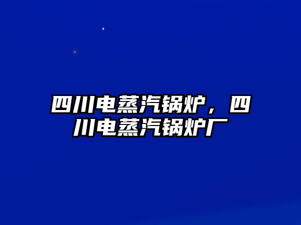 四川電蒸汽鍋爐，四川電蒸汽鍋爐廠