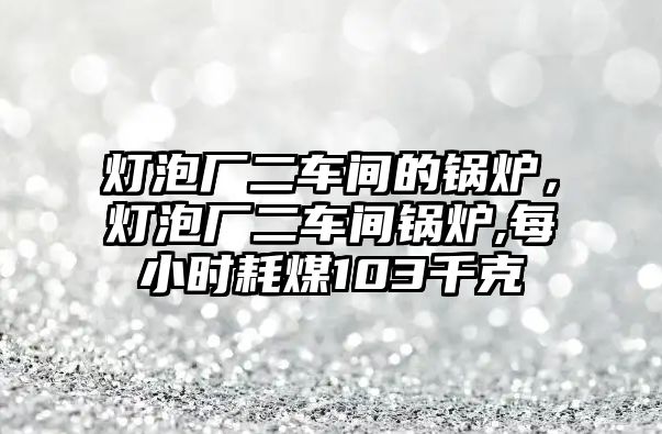 燈泡廠二車間的鍋爐，燈泡廠二車間鍋爐,每小時耗煤103千克