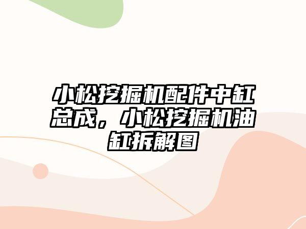 小松挖掘機配件中缸總成，小松挖掘機油缸拆解圖