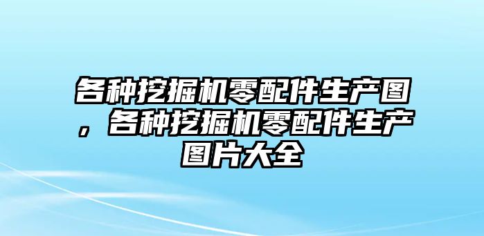 各種挖掘機(jī)零配件生產(chǎn)圖，各種挖掘機(jī)零配件生產(chǎn)圖片大全