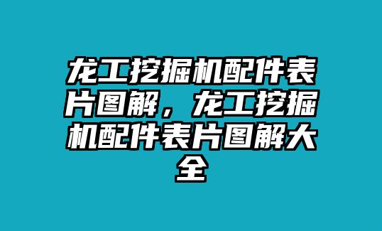 龍工挖掘機配件表片圖解，龍工挖掘機配件表片圖解大全