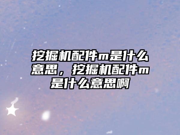 挖掘機配件m是什么意思，挖掘機配件m是什么意思啊