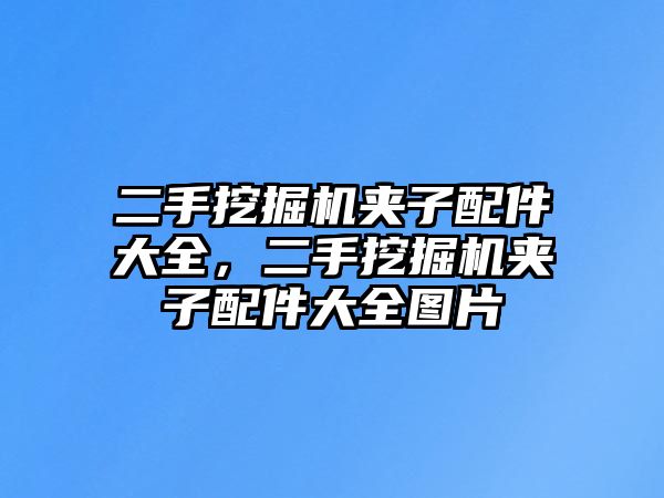 二手挖掘機(jī)夾子配件大全，二手挖掘機(jī)夾子配件大全圖片