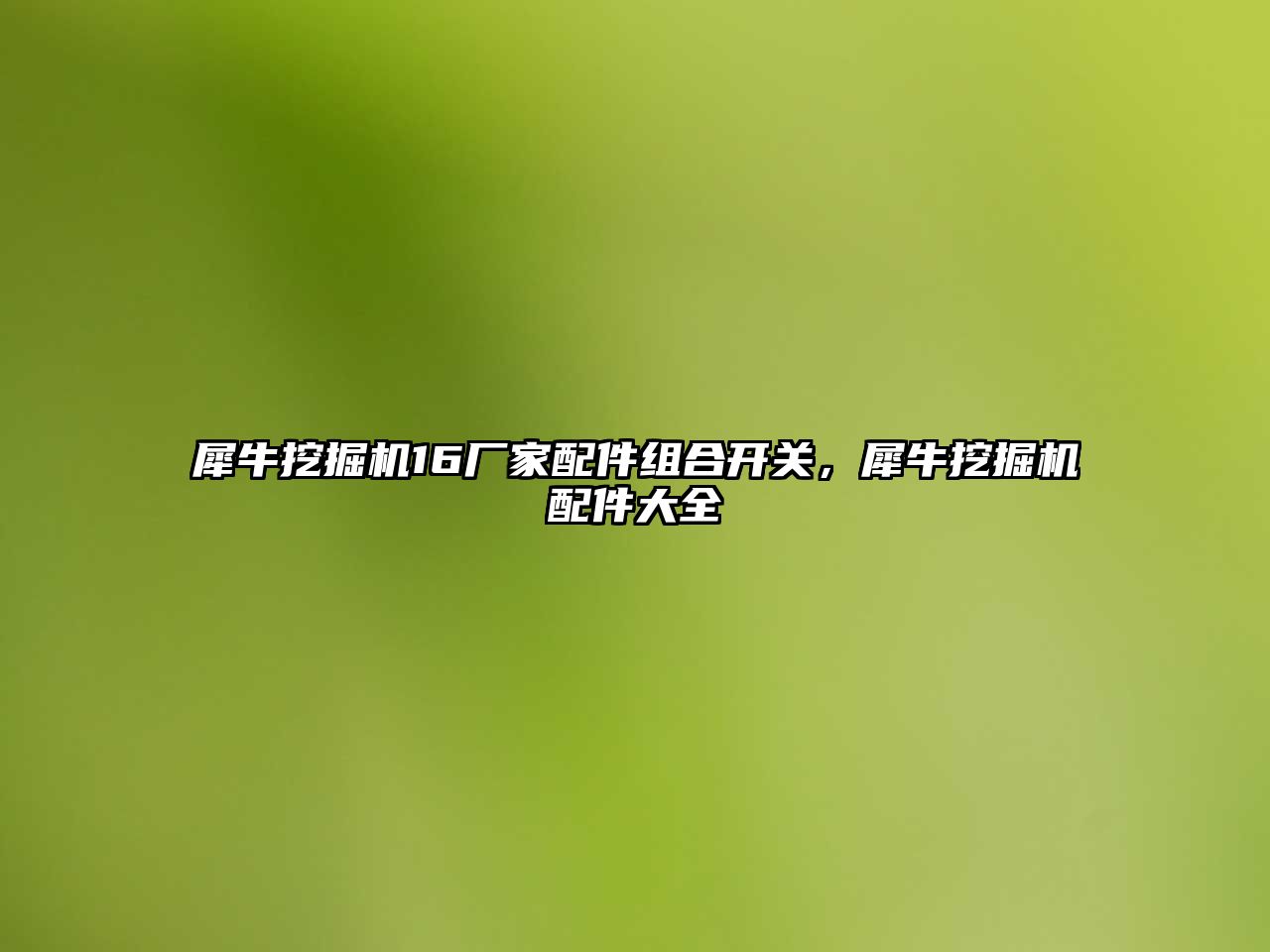 犀牛挖掘機16廠家配件組合開關，犀牛挖掘機配件大全