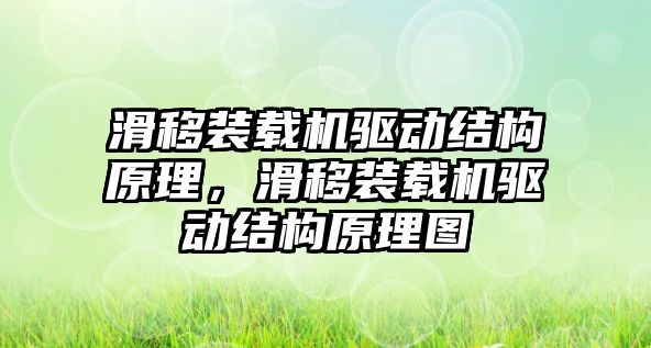 滑移裝載機驅動結構原理，滑移裝載機驅動結構原理圖