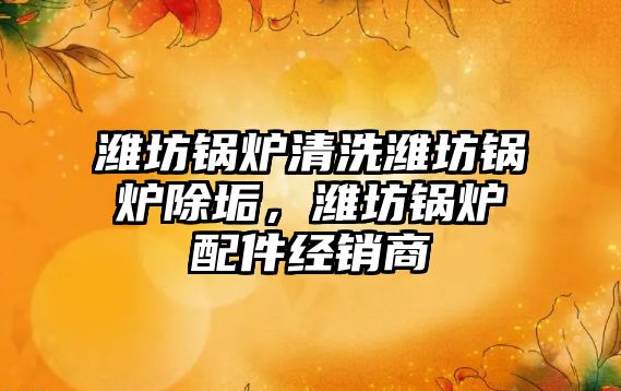 濰坊鍋爐清洗濰坊鍋爐除垢，濰坊鍋爐配件經銷商