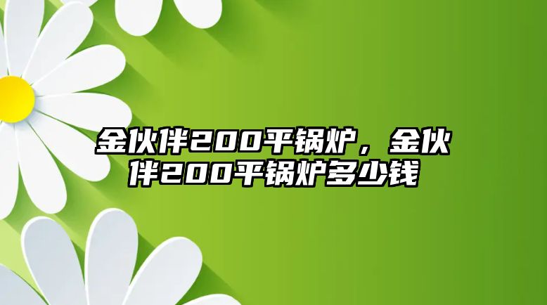 金伙伴200平鍋爐，金伙伴200平鍋爐多少錢