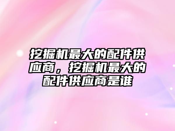 挖掘機最大的配件供應商，挖掘機最大的配件供應商是誰