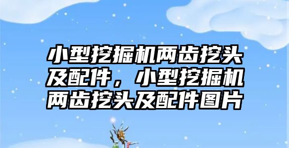 小型挖掘機兩齒挖頭及配件，小型挖掘機兩齒挖頭及配件圖片