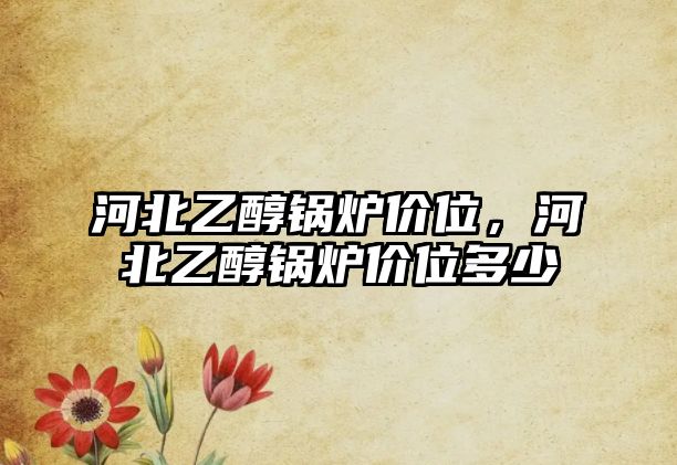 河北乙醇鍋爐價位，河北乙醇鍋爐價位多少