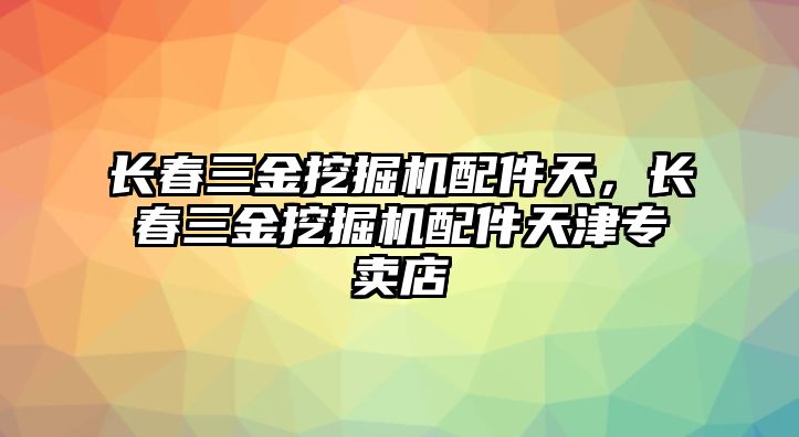 長春三金挖掘機配件天，長春三金挖掘機配件天津專賣店