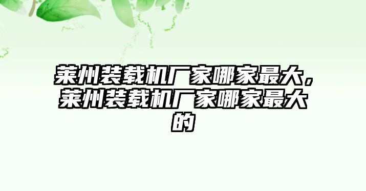 萊州裝載機廠家哪家最大，萊州裝載機廠家哪家最大的