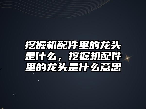 挖掘機配件里的龍頭是什么，挖掘機配件里的龍頭是什么意思