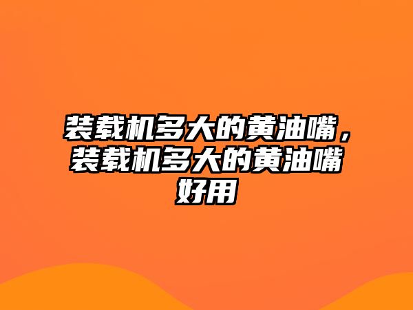 裝載機多大的黃油嘴，裝載機多大的黃油嘴好用