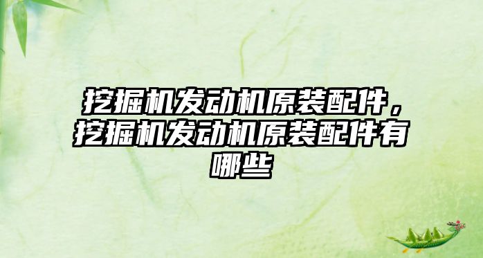 挖掘機發動機原裝配件，挖掘機發動機原裝配件有哪些