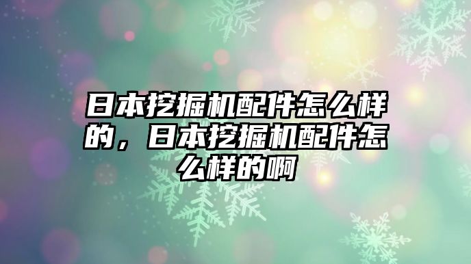 日本挖掘機(jī)配件怎么樣的，日本挖掘機(jī)配件怎么樣的啊