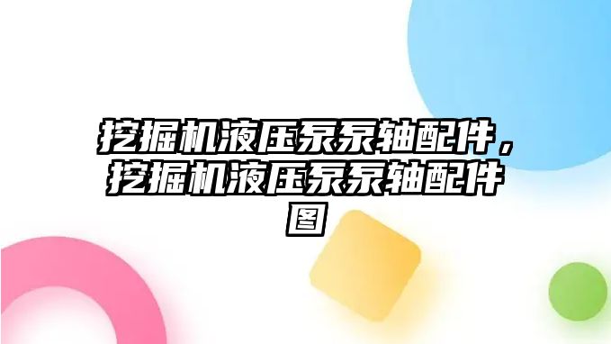 挖掘機液壓泵泵軸配件，挖掘機液壓泵泵軸配件圖