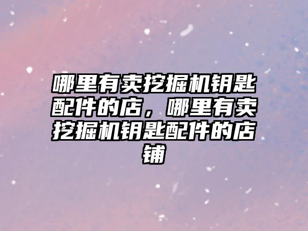 哪里有賣挖掘機鑰匙配件的店，哪里有賣挖掘機鑰匙配件的店鋪