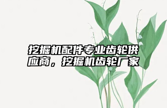 挖掘機配件專業齒輪供應商，挖掘機齒輪廠家