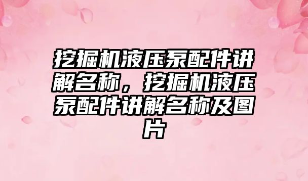 挖掘機液壓泵配件講解名稱，挖掘機液壓泵配件講解名稱及圖片