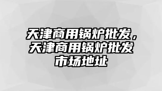 天津商用鍋爐批發(fā)，天津商用鍋爐批發(fā)市場地址