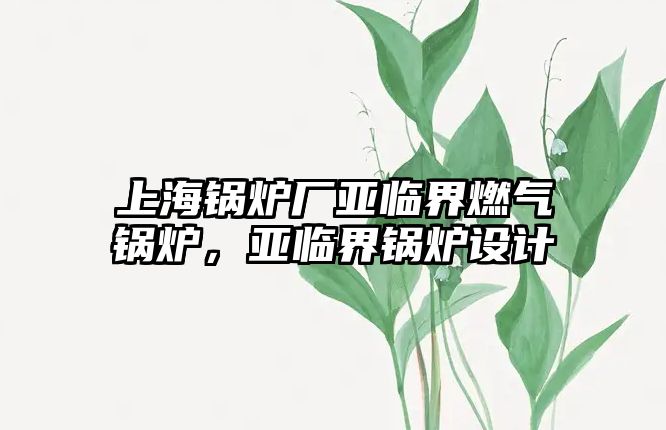 上海鍋爐廠亞臨界燃氣鍋爐，亞臨界鍋爐設計