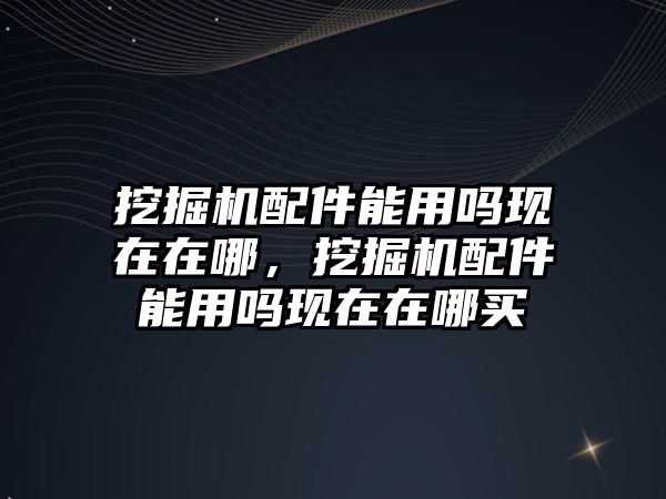 挖掘機配件能用嗎現在在哪，挖掘機配件能用嗎現在在哪買