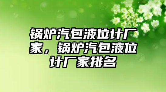 鍋爐汽包液位計廠家，鍋爐汽包液位計廠家排名