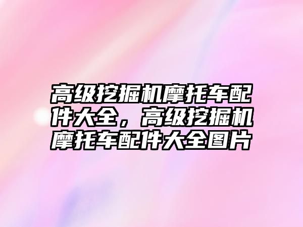 高級挖掘機摩托車配件大全，高級挖掘機摩托車配件大全圖片