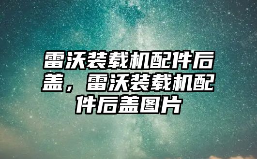 雷沃裝載機配件后蓋，雷沃裝載機配件后蓋圖片