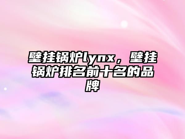 壁掛鍋爐lynx，壁掛鍋爐排名前十名的品牌