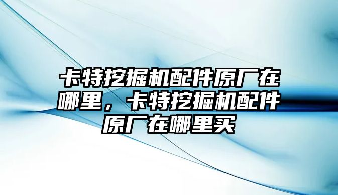 卡特挖掘機配件原廠在哪里，卡特挖掘機配件原廠在哪里買