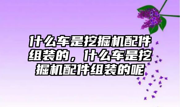 什么車(chē)是挖掘機(jī)配件組裝的，什么車(chē)是挖掘機(jī)配件組裝的呢