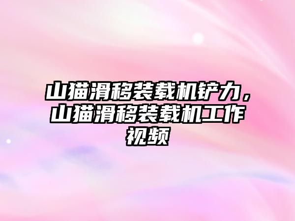 山貓滑移裝載機鏟力，山貓滑移裝載機工作視頻