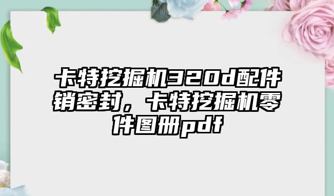 卡特挖掘機320d配件銷密封，卡特挖掘機零件圖冊pdf