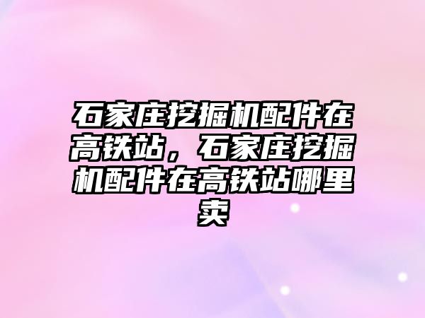 石家莊挖掘機配件在高鐵站，石家莊挖掘機配件在高鐵站哪里賣