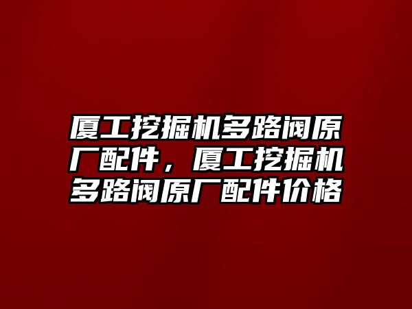 廈工挖掘機(jī)多路閥原廠配件，廈工挖掘機(jī)多路閥原廠配件價(jià)格