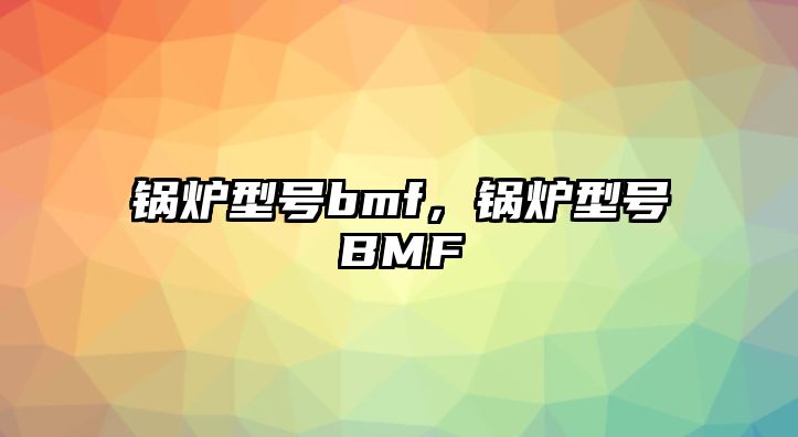 鍋爐型號bmf，鍋爐型號BMF