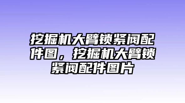 挖掘機大臂鎖緊閥配件圖，挖掘機大臂鎖緊閥配件圖片