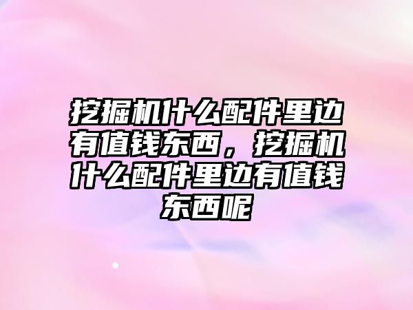 挖掘機什么配件里邊有值錢東西，挖掘機什么配件里邊有值錢東西呢